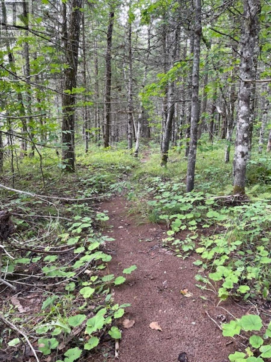 158 Crowdis Cross Rd. Road, Margaree Valley, Nova Scotia  B0E 2C0 - Photo 26 - 202425625