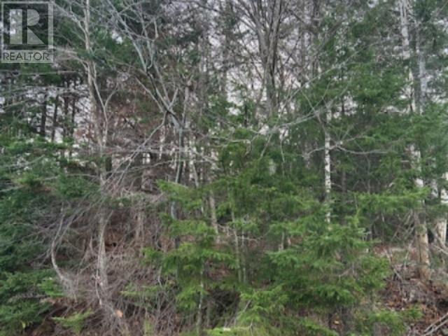 Lot 32 Lakeview Avenue, Middle Sackville, Nova Scotia  B4E 3B8 - Photo 2 - 202425691