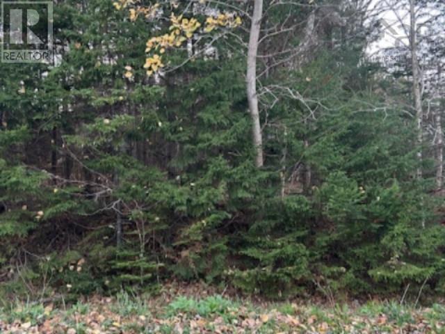 Lot 32 Lakeview Avenue, Middle Sackville, Nova Scotia  B4E 3B8 - Photo 3 - 202425691