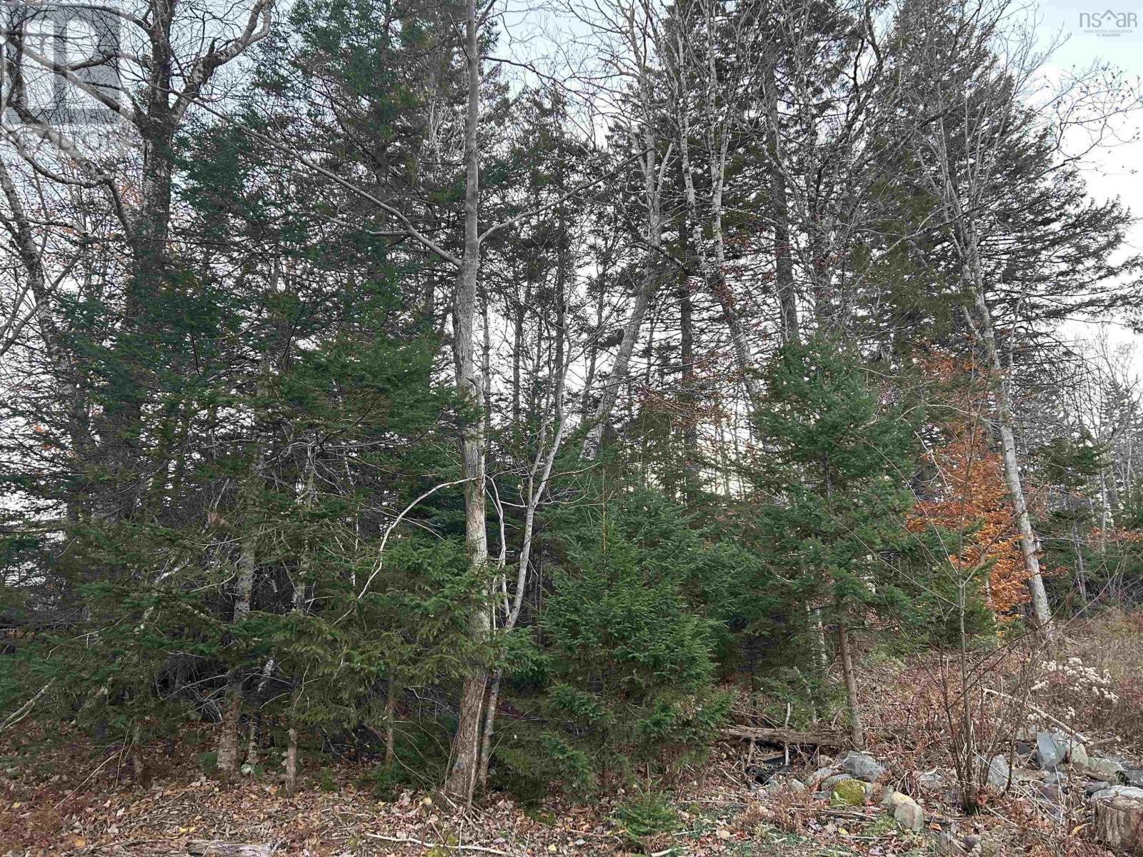 Lot 32 Lakeview Avenue, Middle Sackville, Nova Scotia  B4E 3B8 - Photo 5 - 202425691