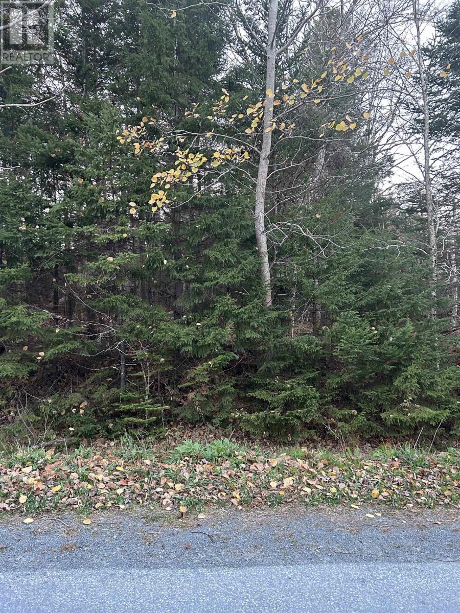 Lot 32 Lakeview Avenue, Middle Sackville, Nova Scotia  B4E 3B8 - Photo 6 - 202425691