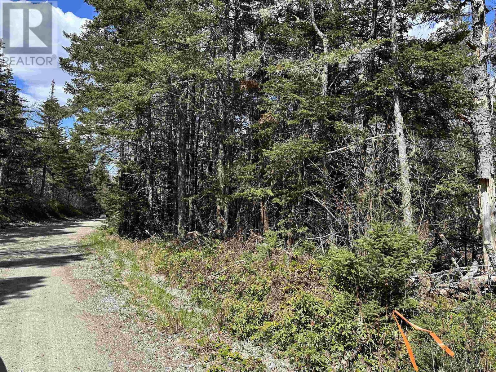 Lot 1-23 Lewis Road, Lydgate, Nova Scotia  B0T 1L0 - Photo 11 - 202425710