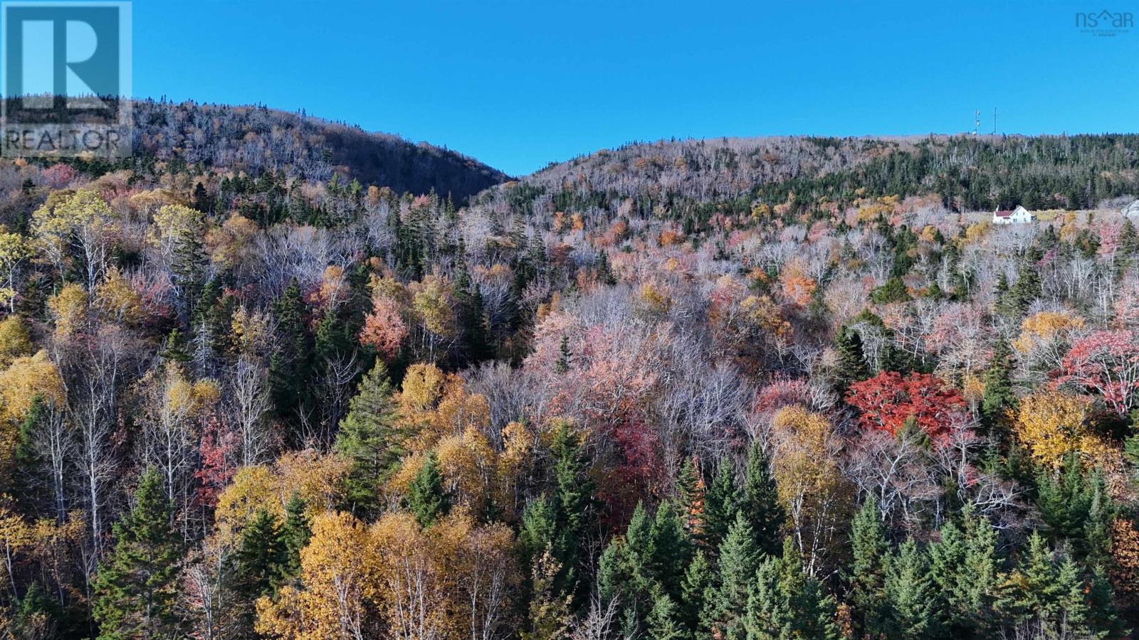 Marble Mountain Road, Lime Hill, Nova Scotia  B0E 3K0 - Photo 14 - 202425712