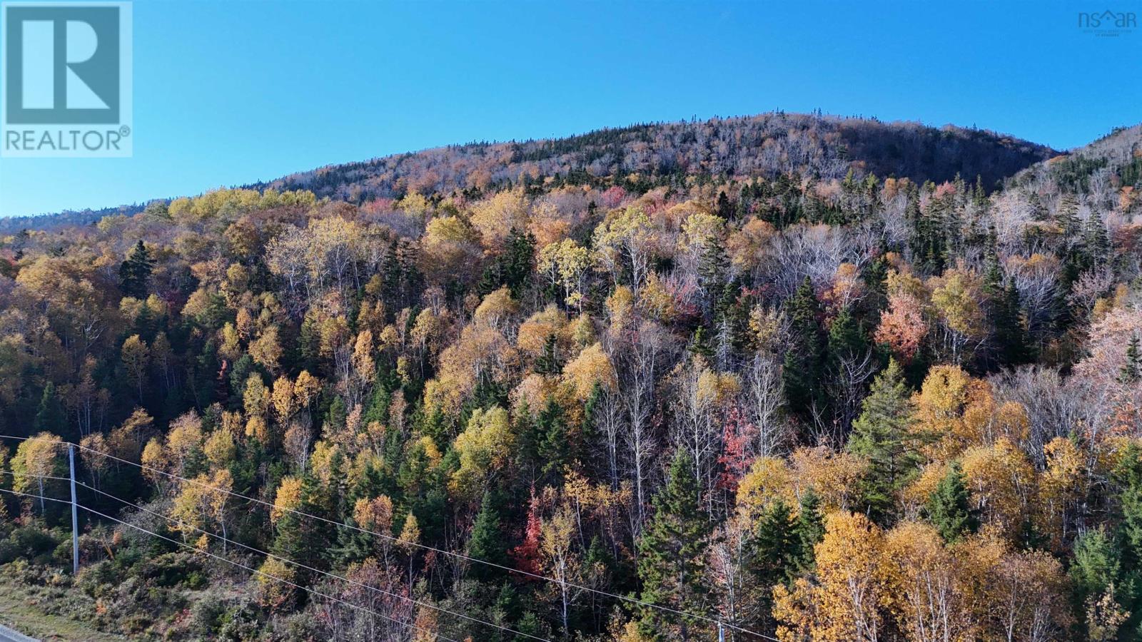 Marble Mountain Road, Lime Hill, Nova Scotia  B0E 3K0 - Photo 15 - 202425712