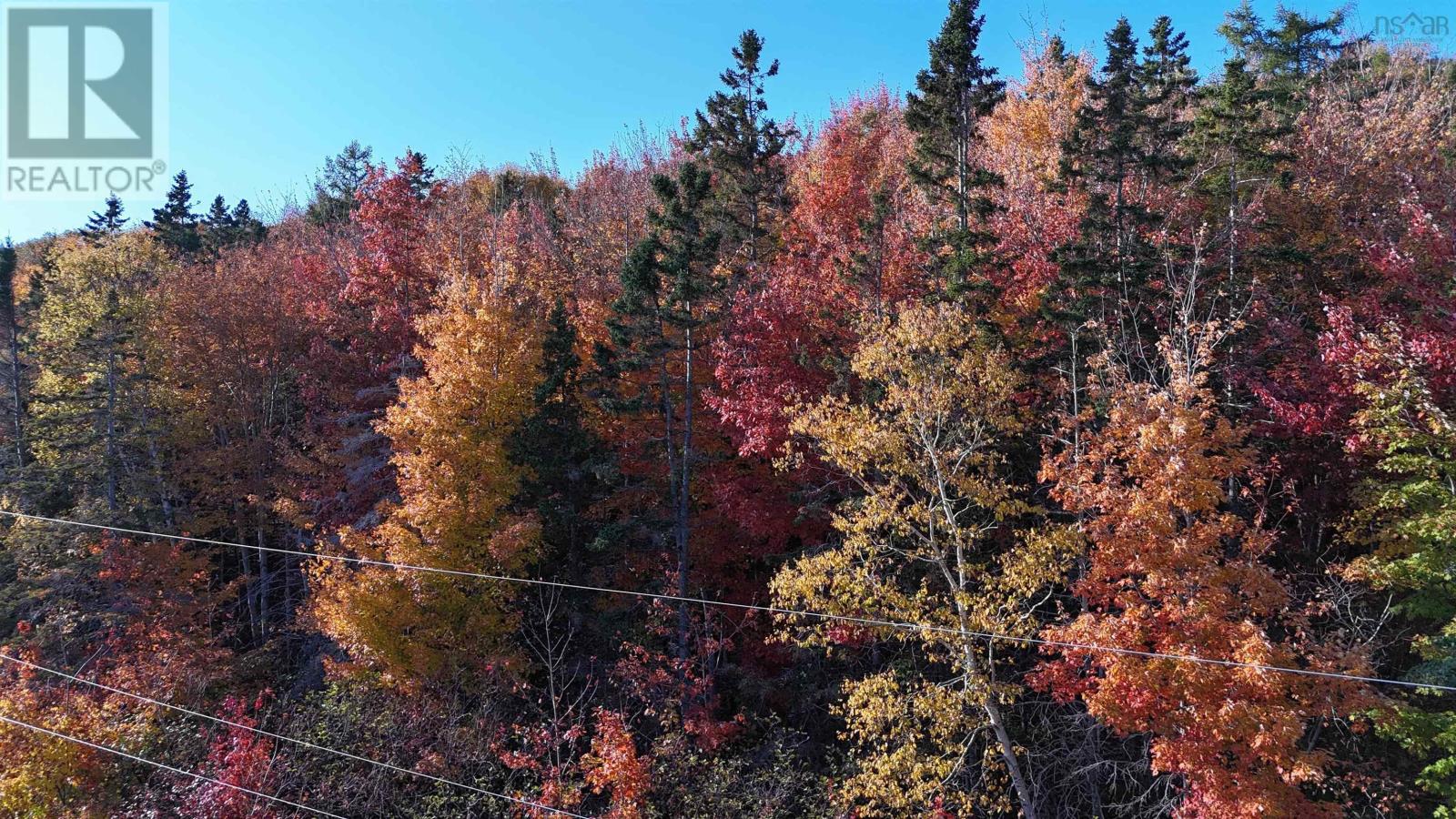 Marble Mountain Road, Lime Hill, Nova Scotia  B0E 3K0 - Photo 17 - 202425712