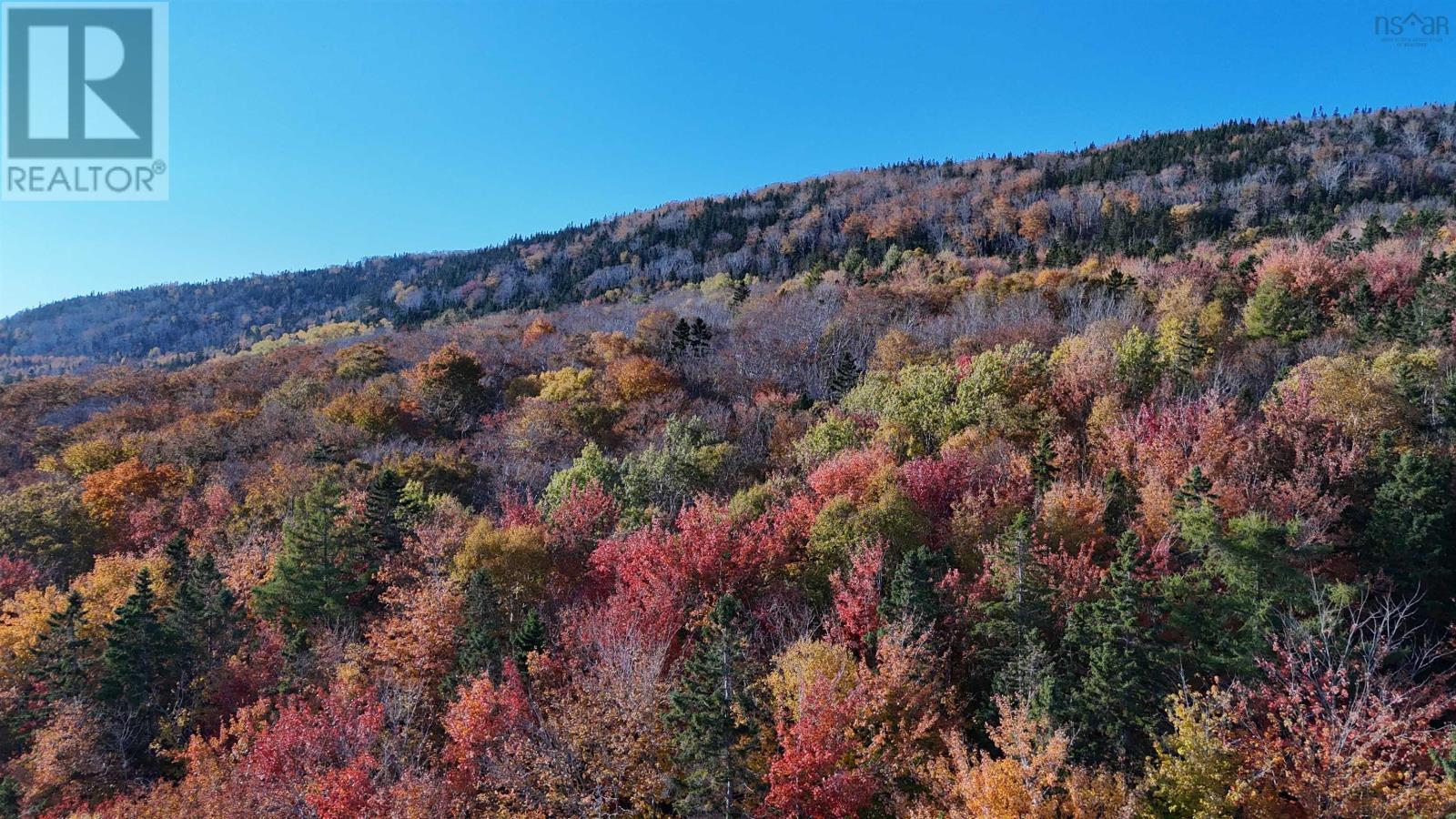 Marble Mountain Road, Lime Hill, Nova Scotia  B0E 3K0 - Photo 18 - 202425712