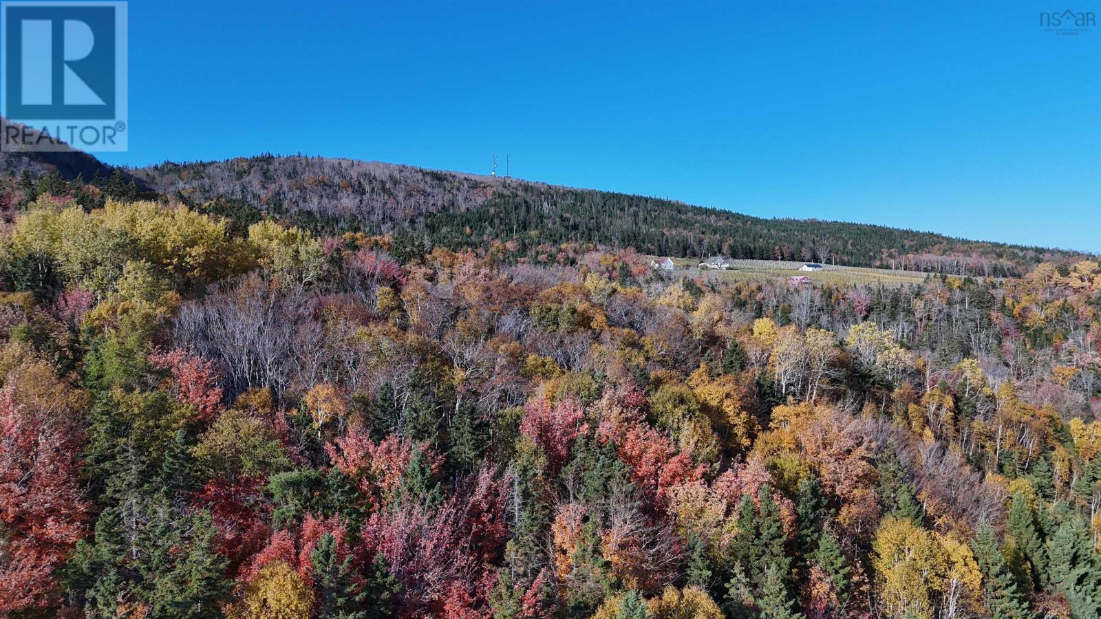 Marble Mountain Road, Lime Hill, Nova Scotia  B0E 3K0 - Photo 20 - 202425712