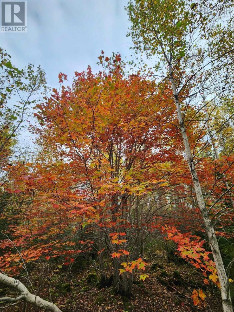 Lot 3B Highway 4, telford, Nova Scotia