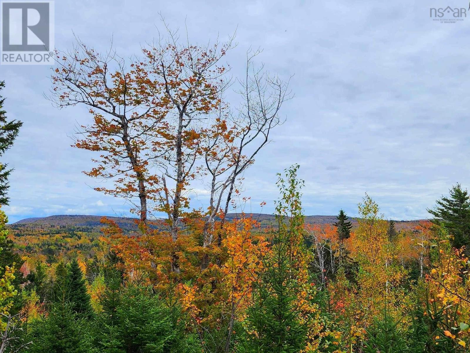 Lot 3b Highway 4, Telford, Nova Scotia  B0K 1G0 - Photo 12 - 202425762