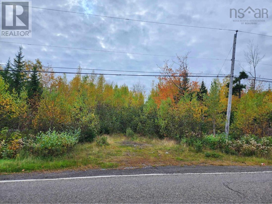 Lot 3b Highway 4, Telford, Nova Scotia  B0K 1G0 - Photo 6 - 202425762