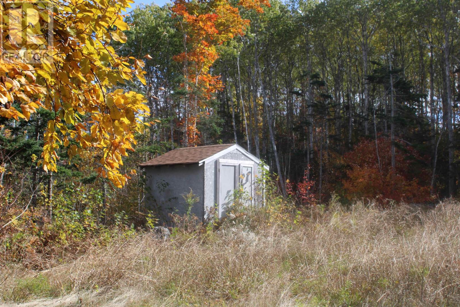 259 Bill Berry Road, Princedale, Nova Scotia  B0S 1G0 - Photo 6 - 202425828