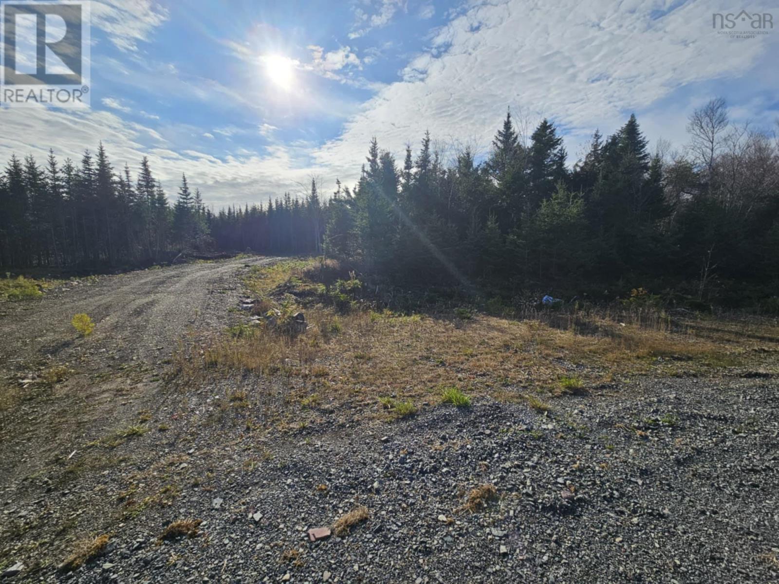 Lot 7 Brewer Drive, Mira Gut, Nova Scotia  B1K 2X1 - Photo 2 - 202425830