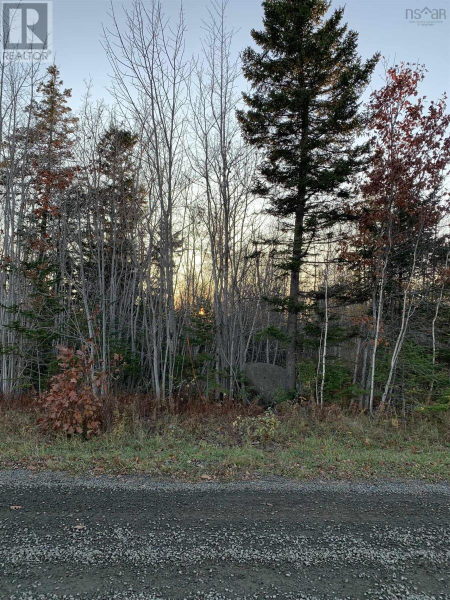 0 Dunn Road, Bear River East, Nova Scotia  B0S 1J0 - Photo 2 - 202425873