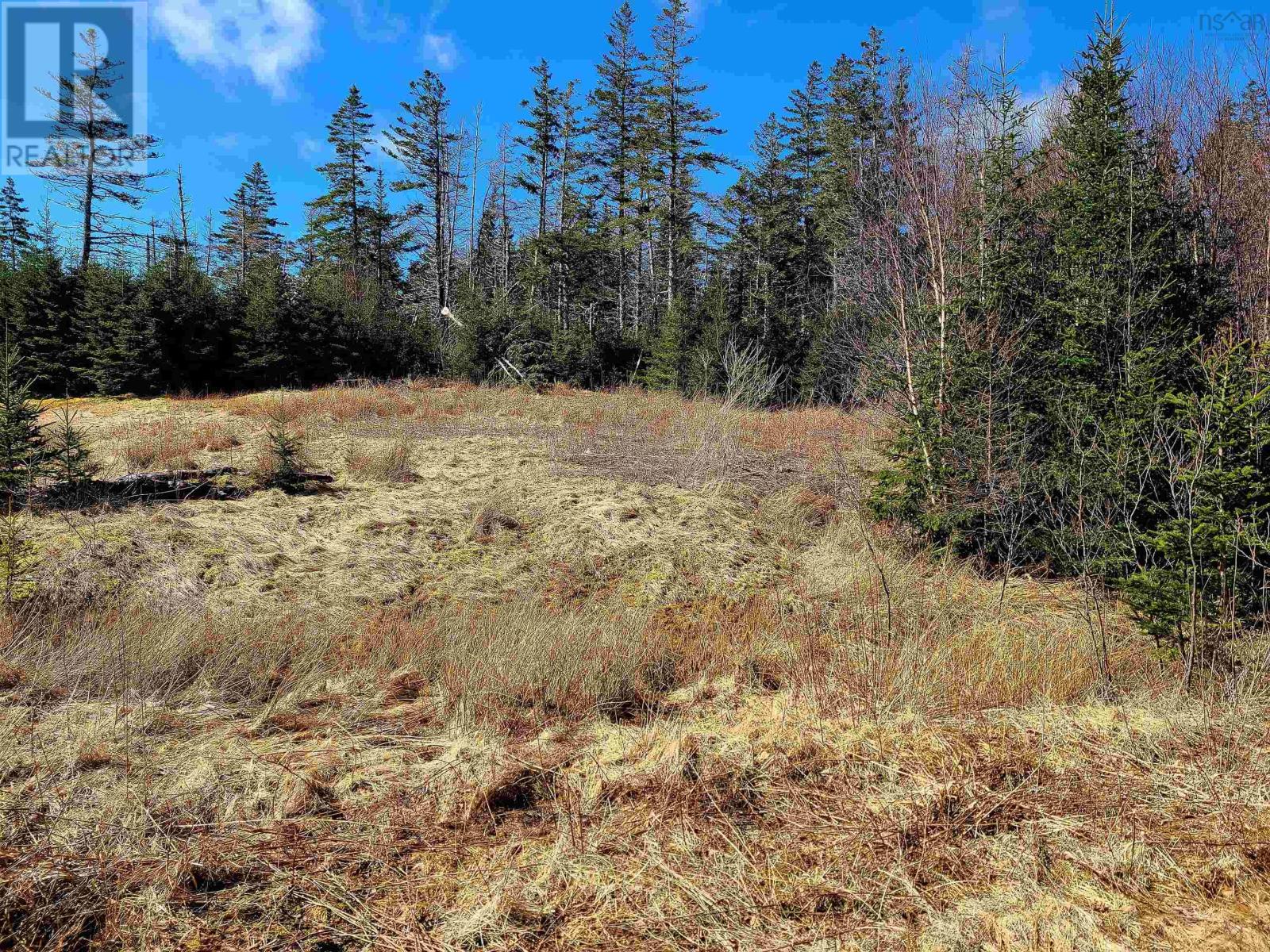 Lot 12 Matway Drive, St. Peter's, Nova Scotia  B0E 3B0 - Photo 3 - 202425892