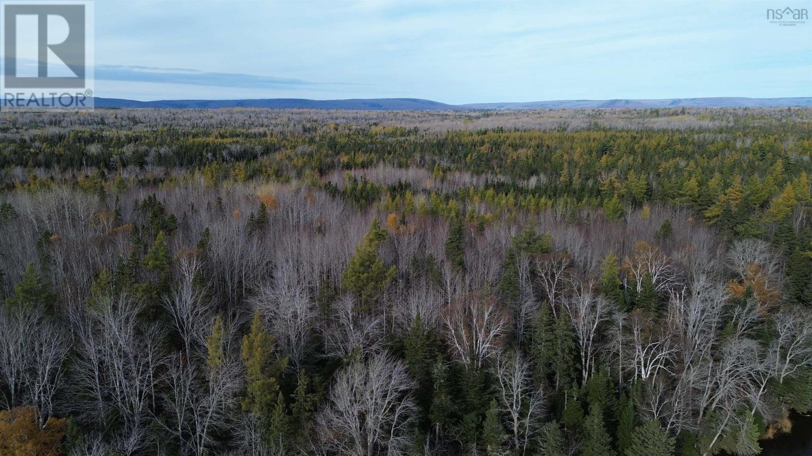 Eden Road, Eden Lake, Nova Scotia  B0E 2Y0 - Photo 13 - 202425907