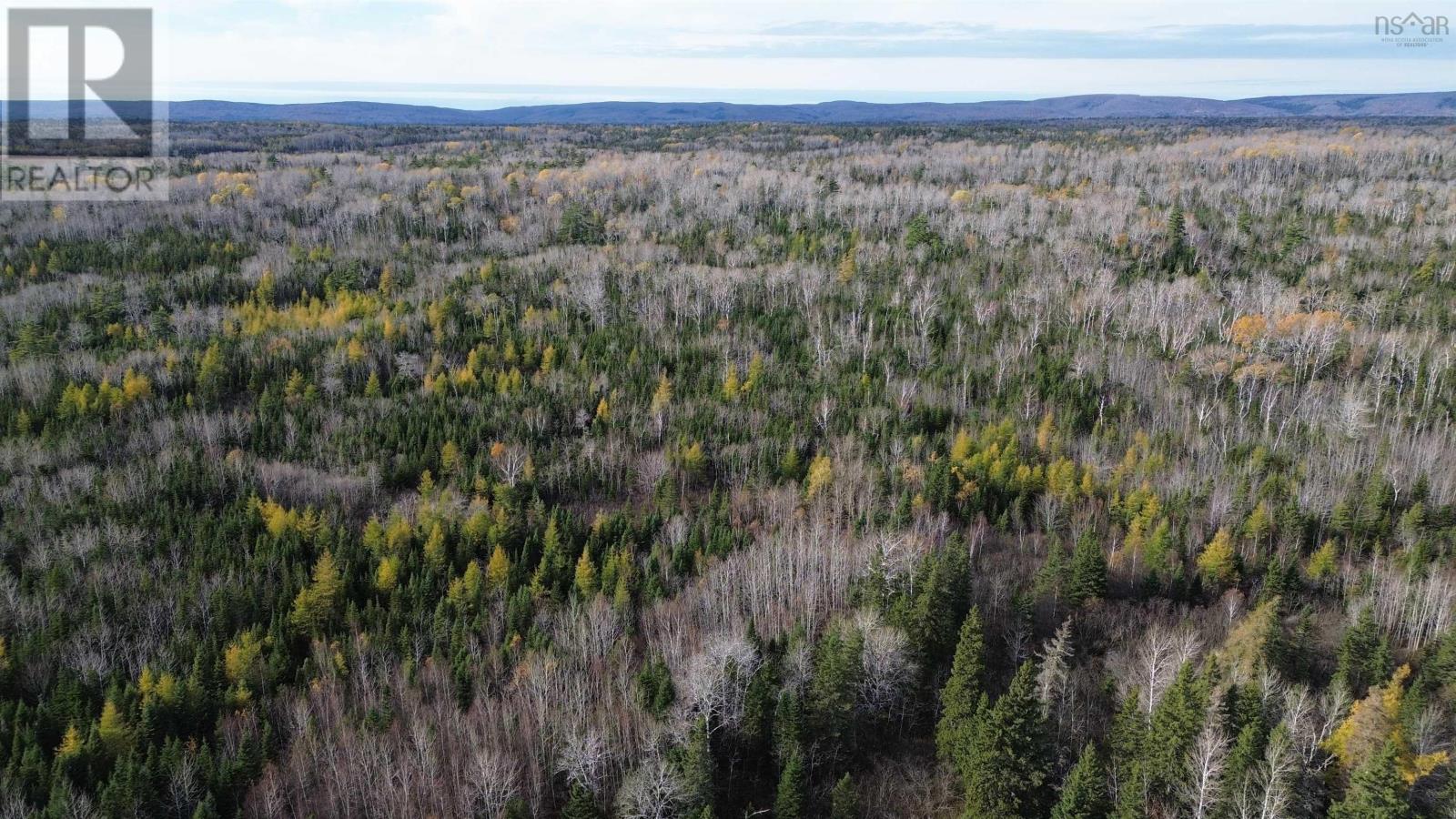 Eden Road, Eden Lake, Nova Scotia  B0E 2Y0 - Photo 14 - 202425907