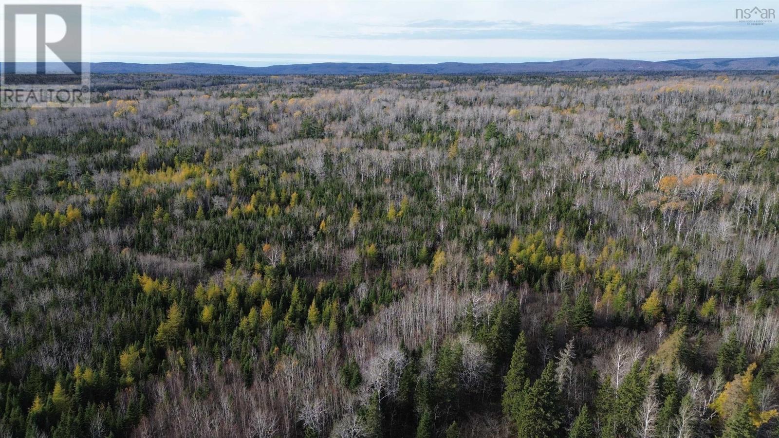 Eden Road, Eden Lake, Nova Scotia  B0E 2Y0 - Photo 15 - 202425907