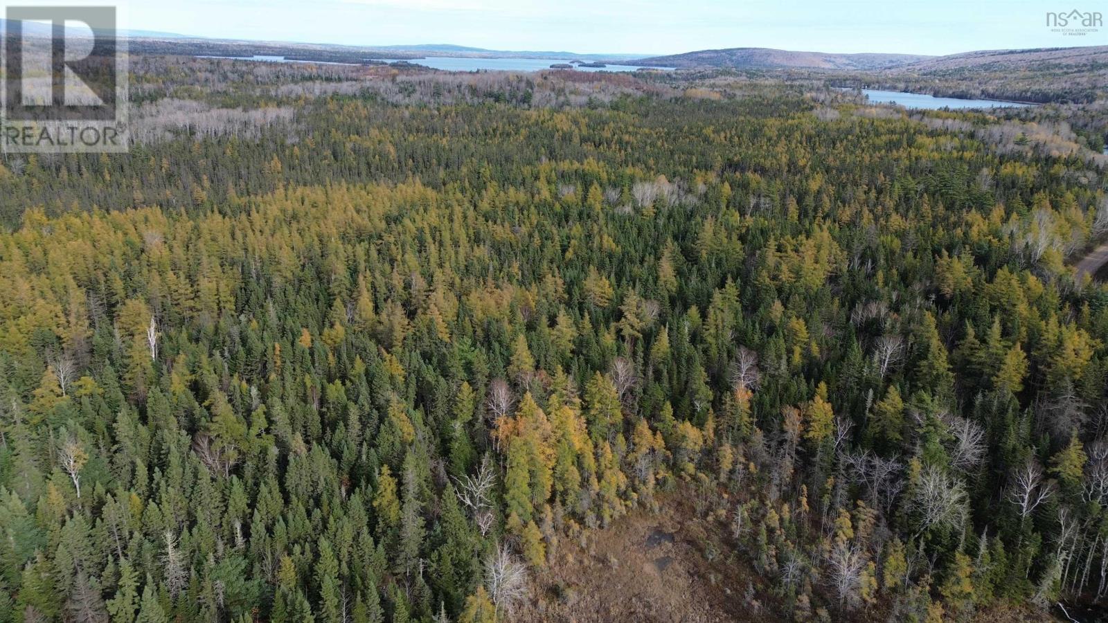 Eden Road, Eden Lake, Nova Scotia  B0E 2Y0 - Photo 17 - 202425907