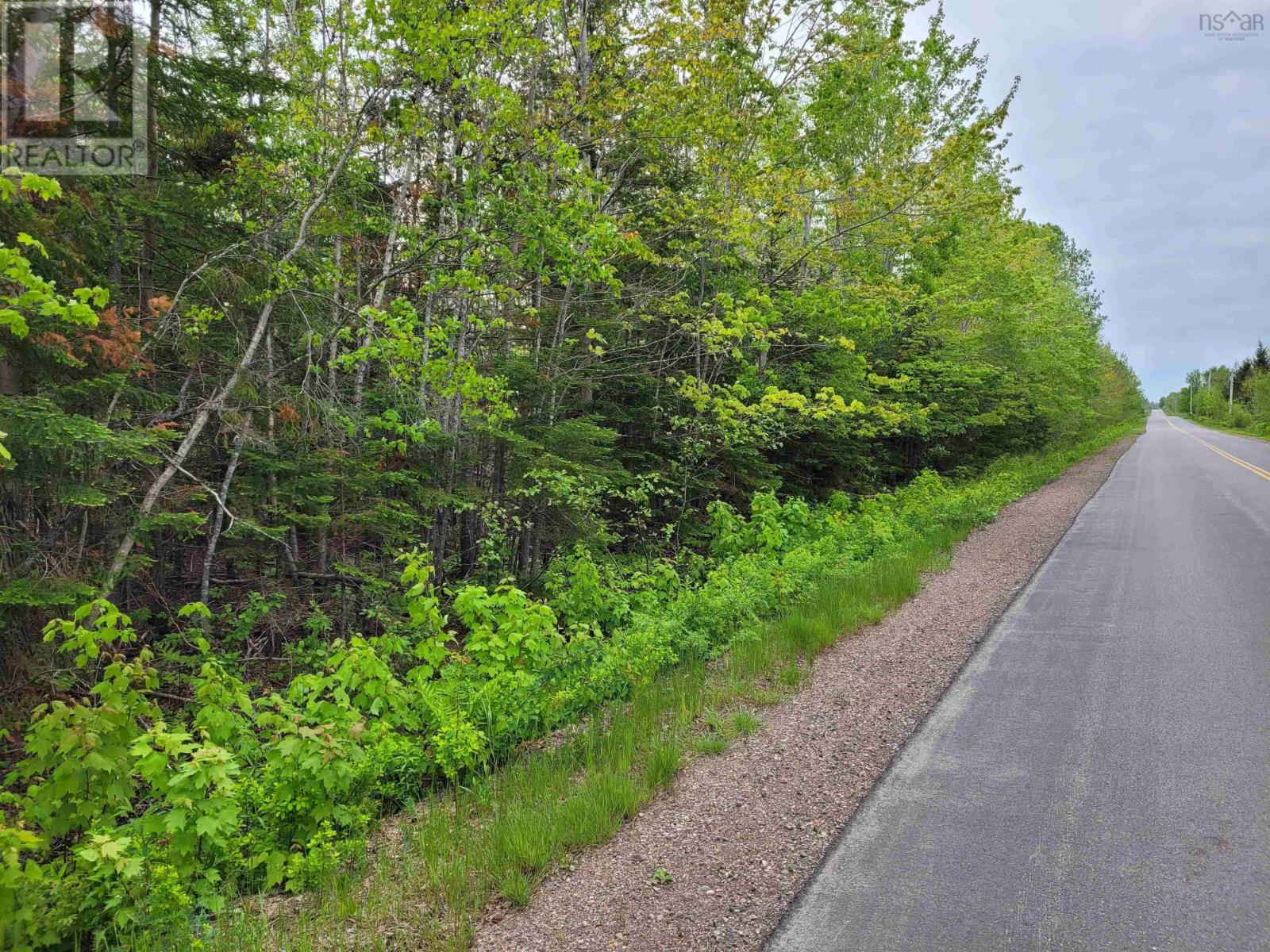 Lot Tattrie Settlement Road, french river, Nova Scotia