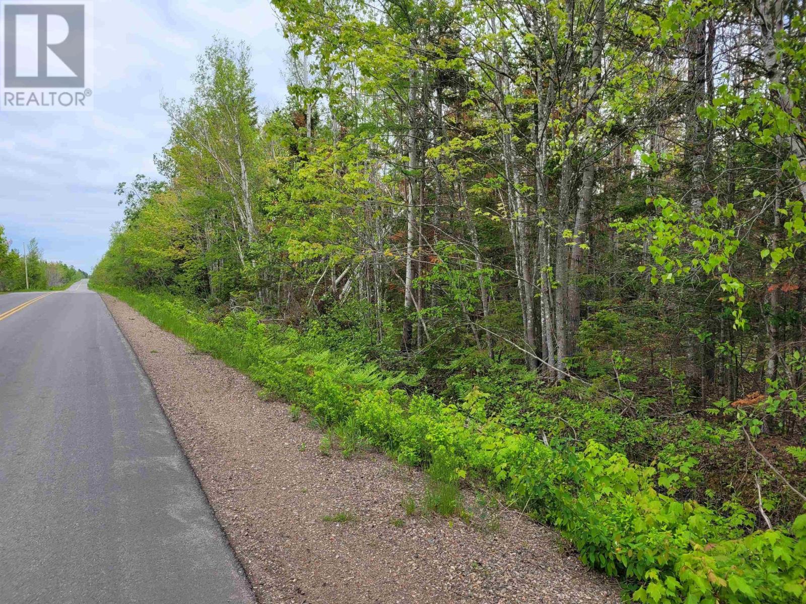 Lot Tattrie Settlement Road, French River, Nova Scotia  B0K 1V0 - Photo 2 - 202425925