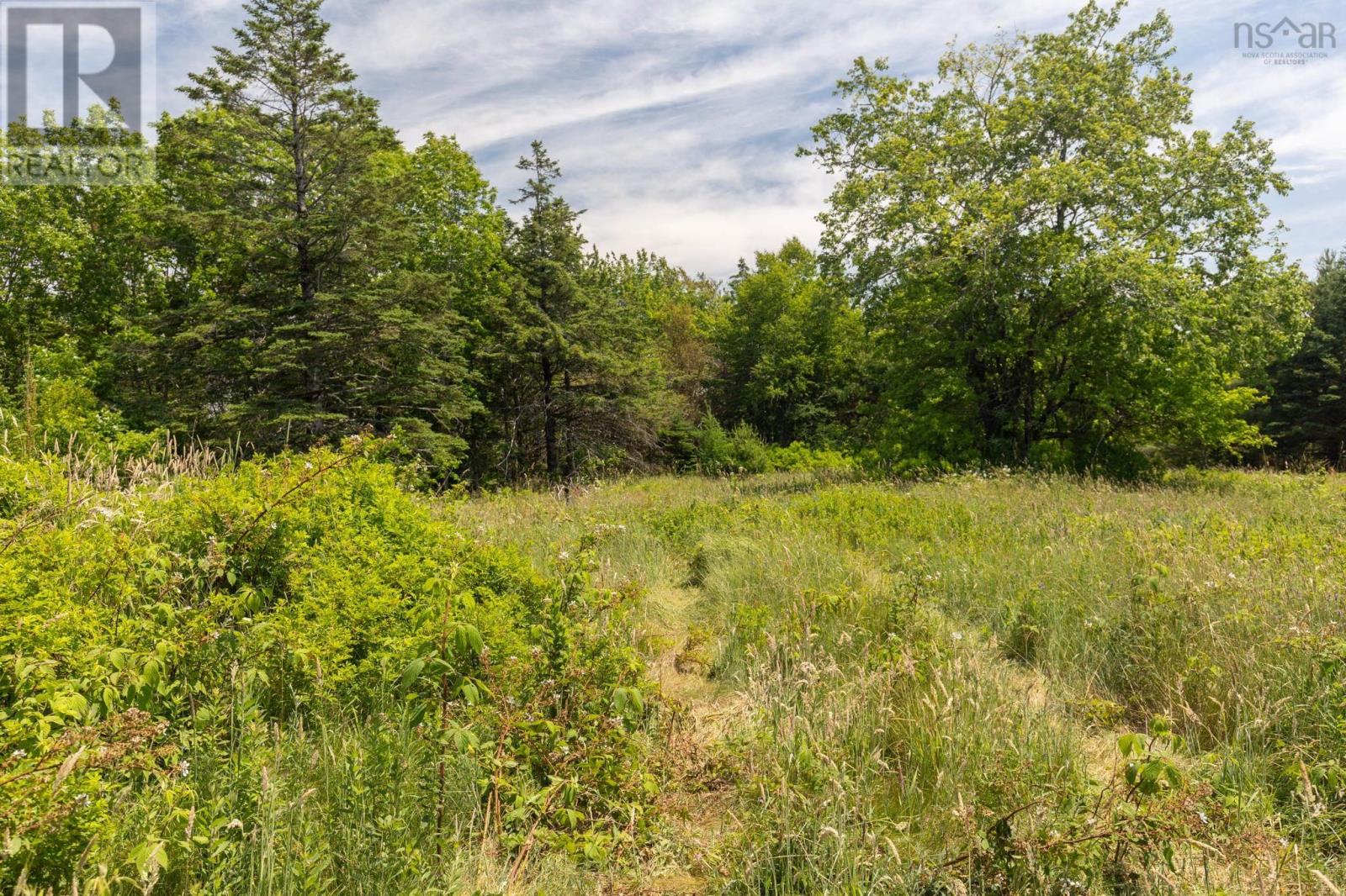 4068 Hectanooga Road, Briar Lake, Nova Scotia  B0W 2Y0 - Photo 13 - 202425930