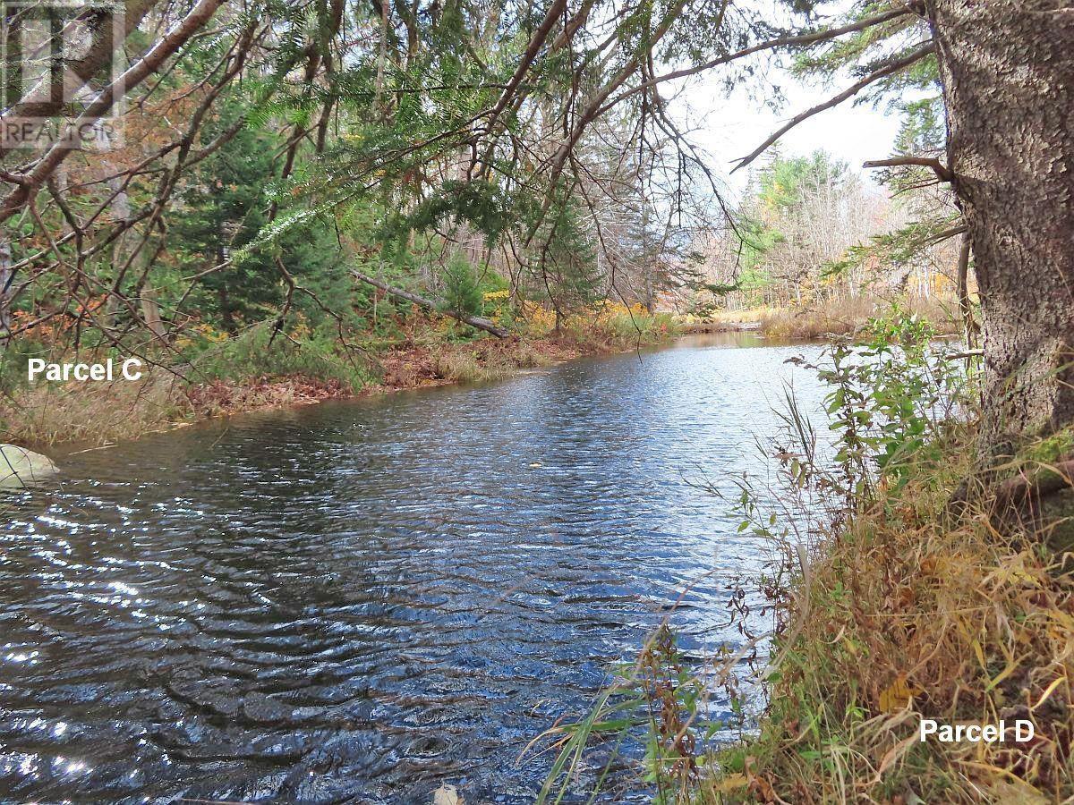 3 Lots Gold River Road, Upper Middle River, Nova Scotia  B0E 1B0 - Photo 10 - 202426003