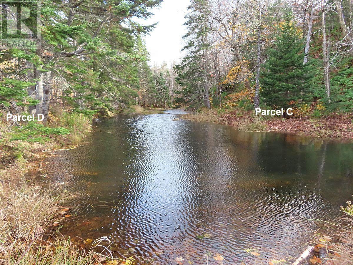 3 Lots Gold River Road, Upper Middle River, Nova Scotia  B0E 1B0 - Photo 11 - 202426003