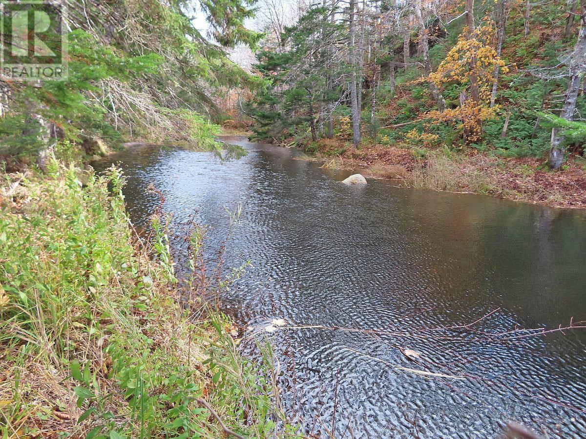 3 Lots Gold River Road, Upper Middle River, Nova Scotia  B0E 1B0 - Photo 12 - 202426003