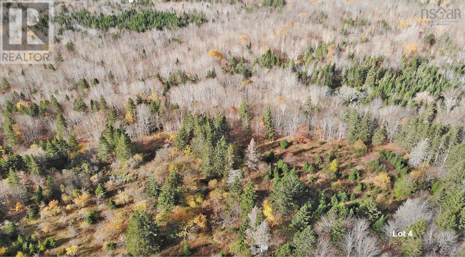 3 Lots Gold River Road, Upper Middle River, Nova Scotia  B0E 1B0 - Photo 21 - 202426003