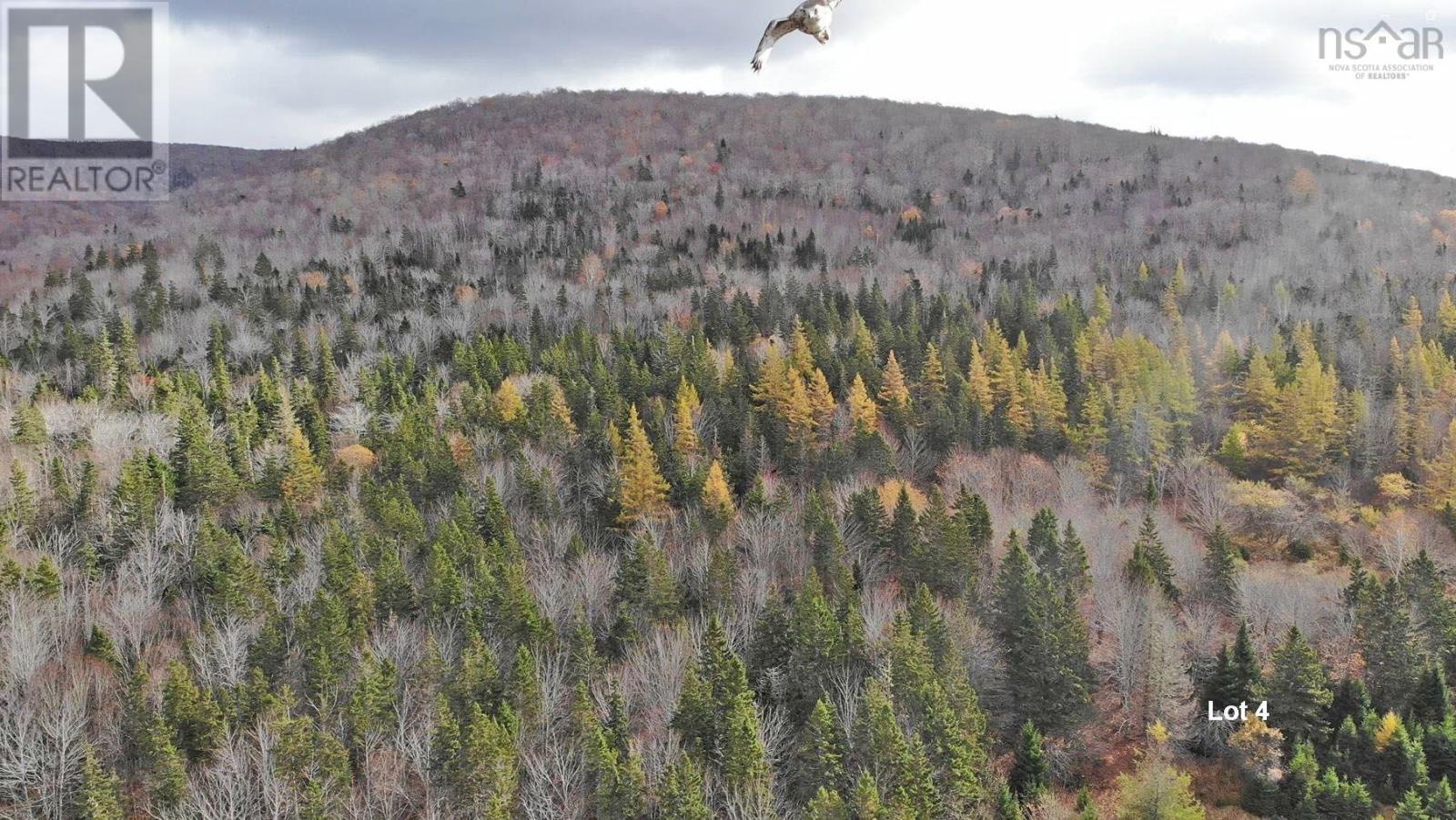 3 Lots Gold River Road, Upper Middle River, Nova Scotia  B0E 1B0 - Photo 22 - 202426003