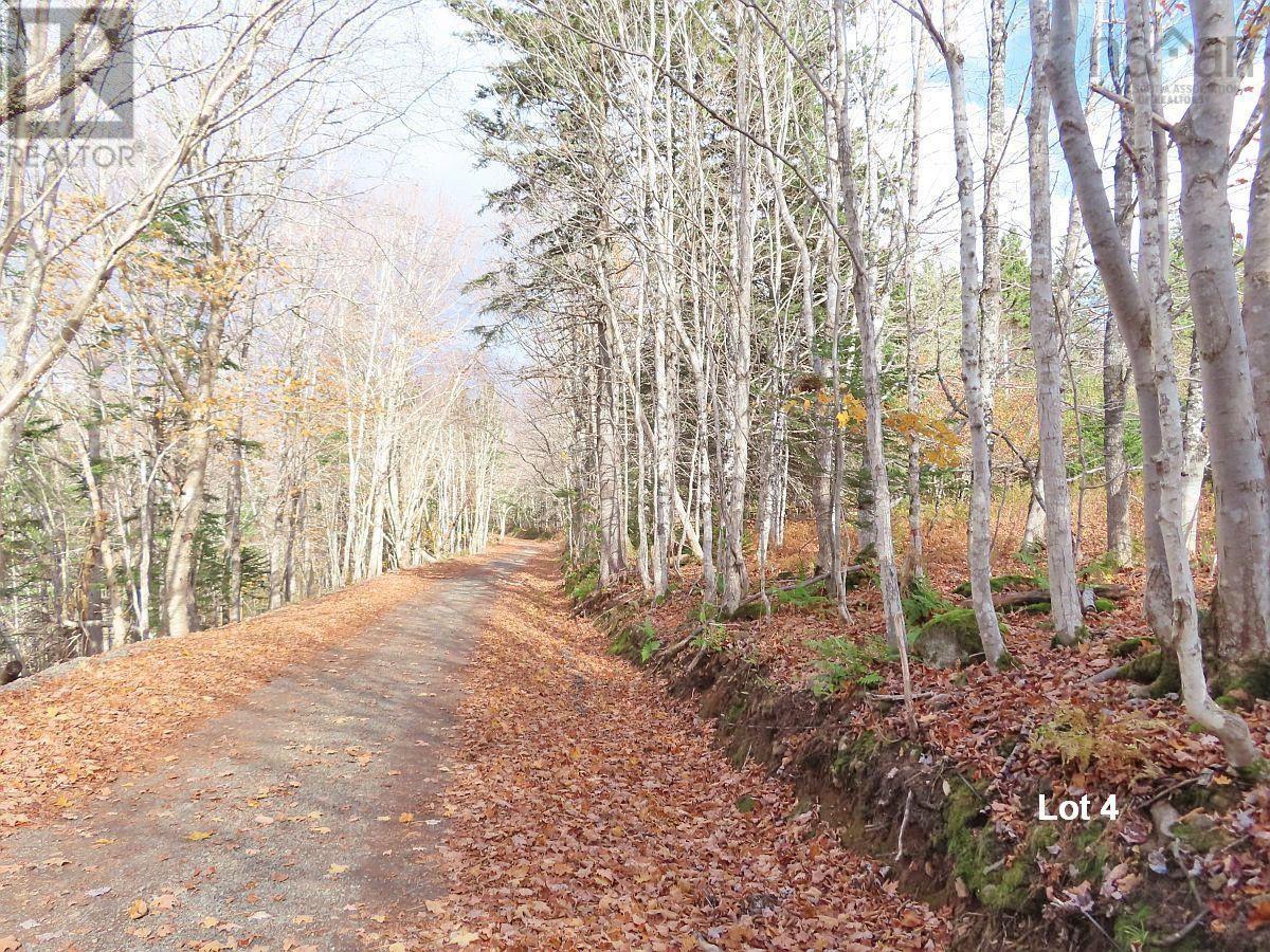 3 Lots Gold River Road, Upper Middle River, Nova Scotia  B0E 1B0 - Photo 24 - 202426003