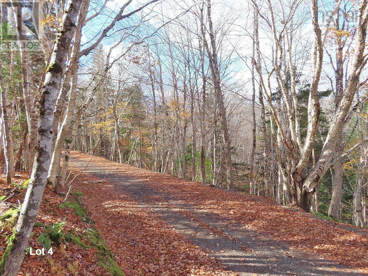 3 Lots Gold River Road, Upper Middle River, Nova Scotia  B0E 1B0 - Photo 25 - 202426003