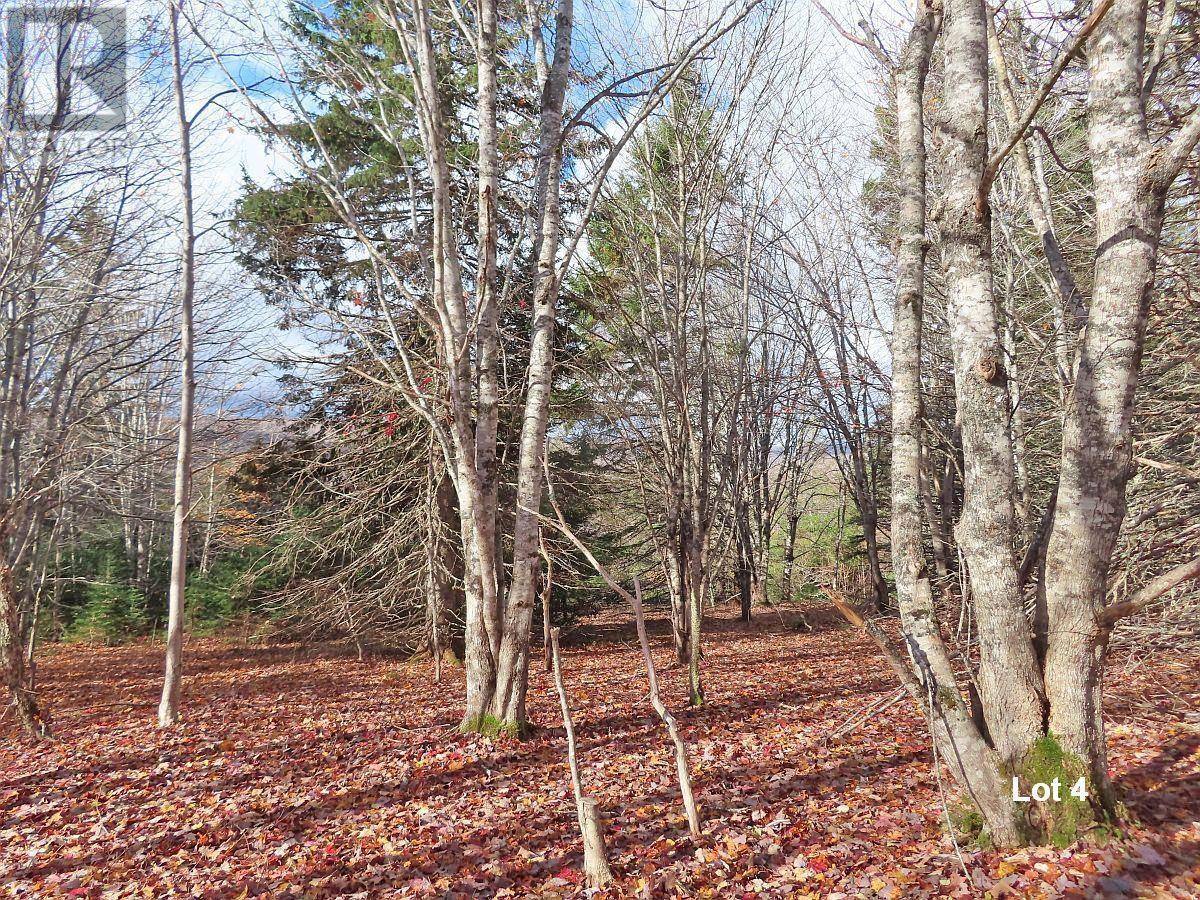 3 Lots Gold River Road, Upper Middle River, Nova Scotia  B0E 1B0 - Photo 27 - 202426003