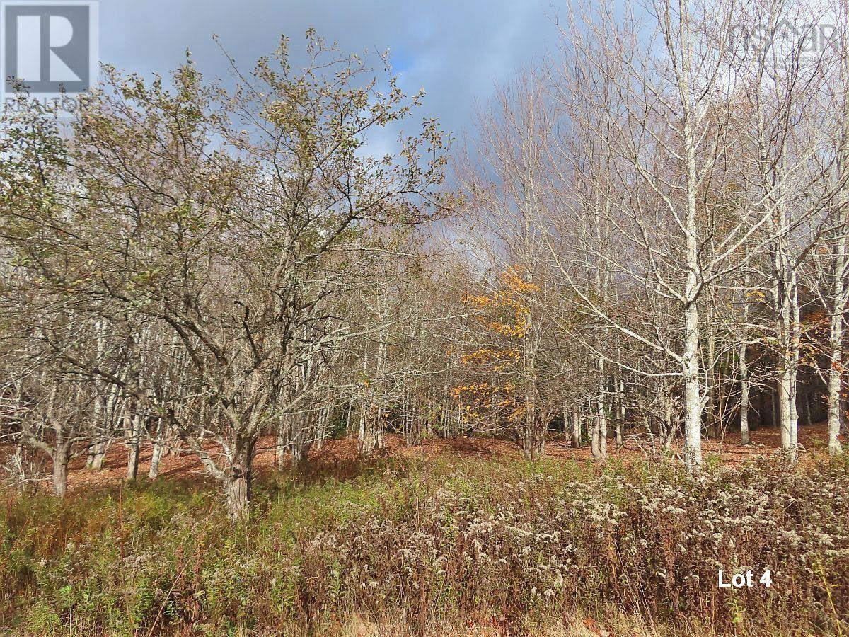 3 Lots Gold River Road, Upper Middle River, Nova Scotia  B0E 1B0 - Photo 28 - 202426003