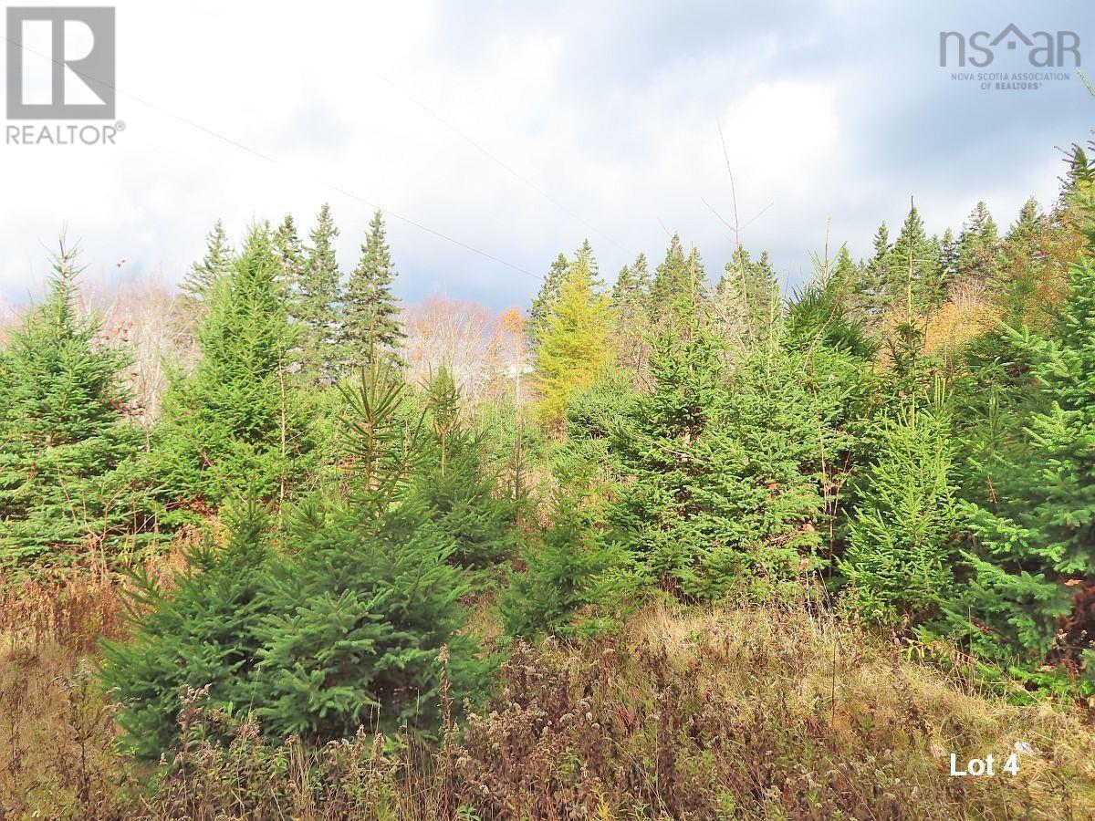 3 Lots Gold River Road, Upper Middle River, Nova Scotia  B0E 1B0 - Photo 29 - 202426003