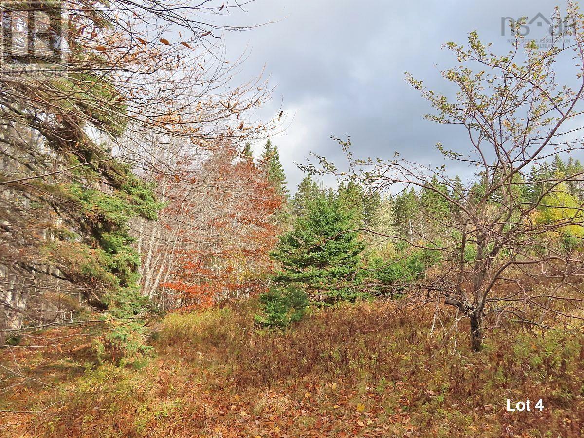 3 Lots Gold River Road, Upper Middle River, Nova Scotia  B0E 1B0 - Photo 30 - 202426003