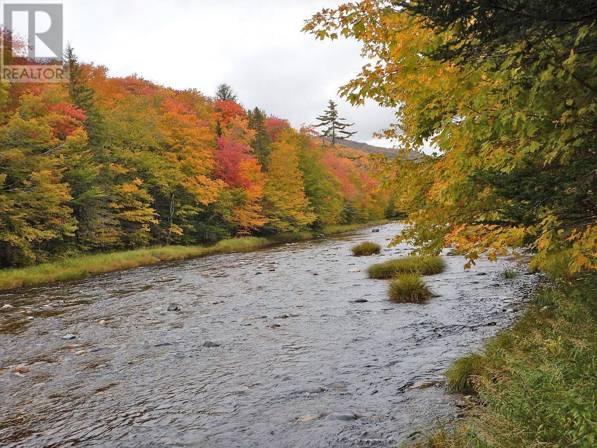 3 Lots Gold River Road, Upper Middle River, Nova Scotia  B0E 1B0 - Photo 33 - 202426003