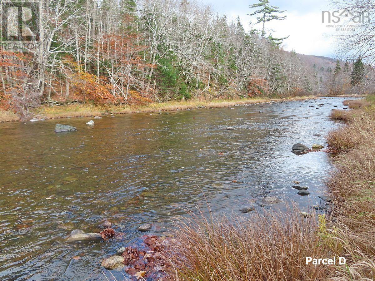 3 Lots Gold River Road, Upper Middle River, Nova Scotia  B0E 1B0 - Photo 4 - 202426003