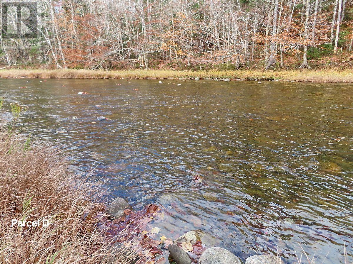 3 Lots Gold River Road, Upper Middle River, Nova Scotia  B0E 1B0 - Photo 5 - 202426003