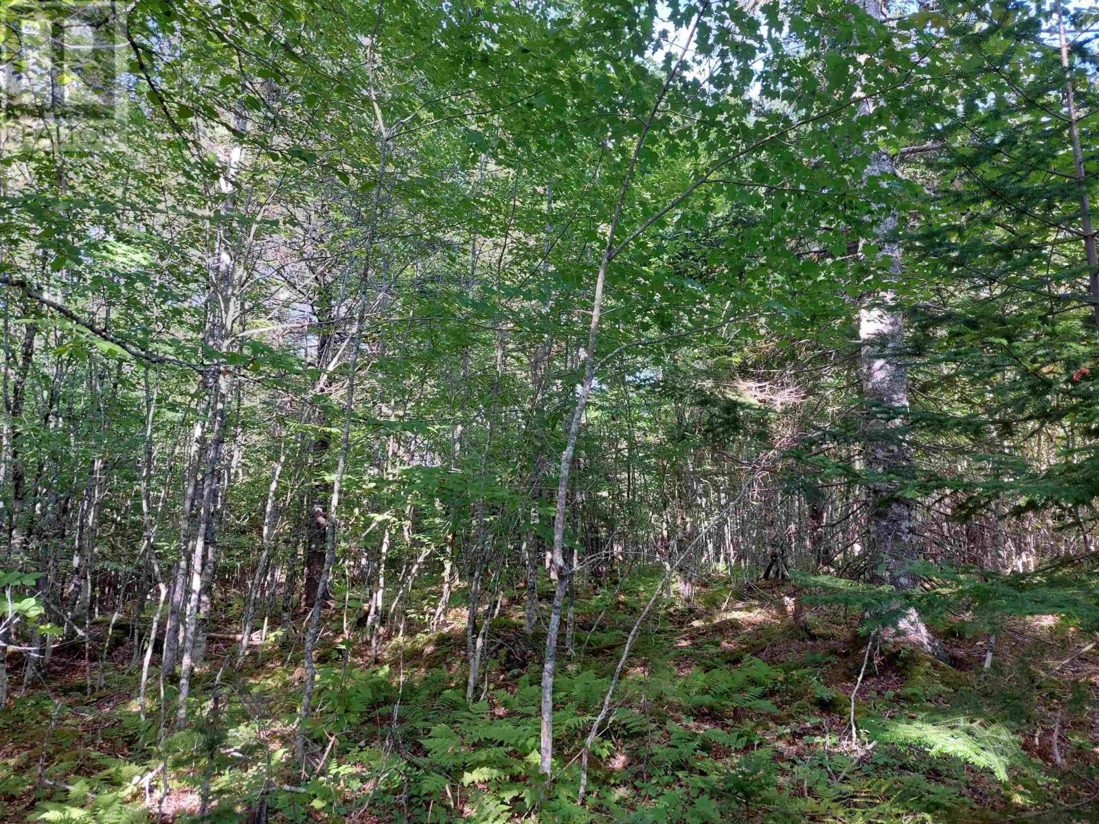 Lot 25 Doris Lane, Kempt Road, Nova Scotia  B0E 1J0 - Photo 10 - 202426008