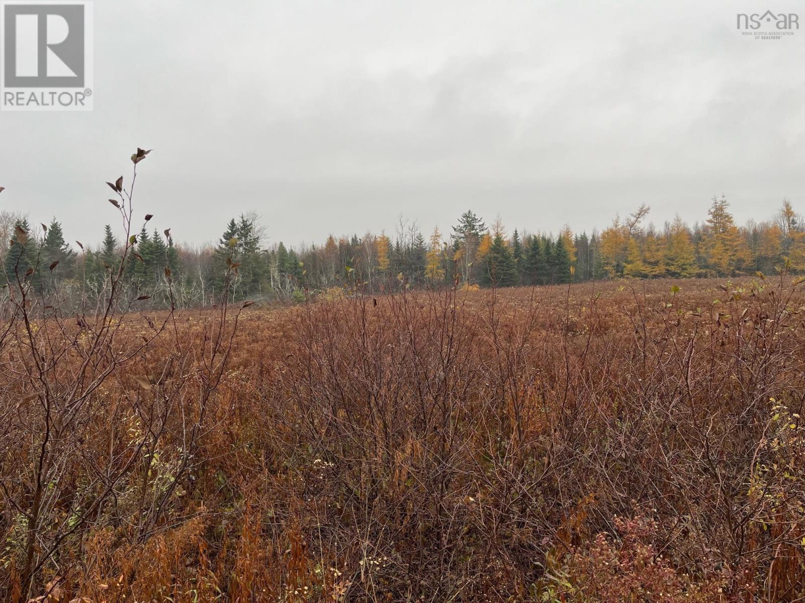 Old Pictou Road, Kemptown, Nova Scotia  B6L 2L8 - Photo 10 - 202426024