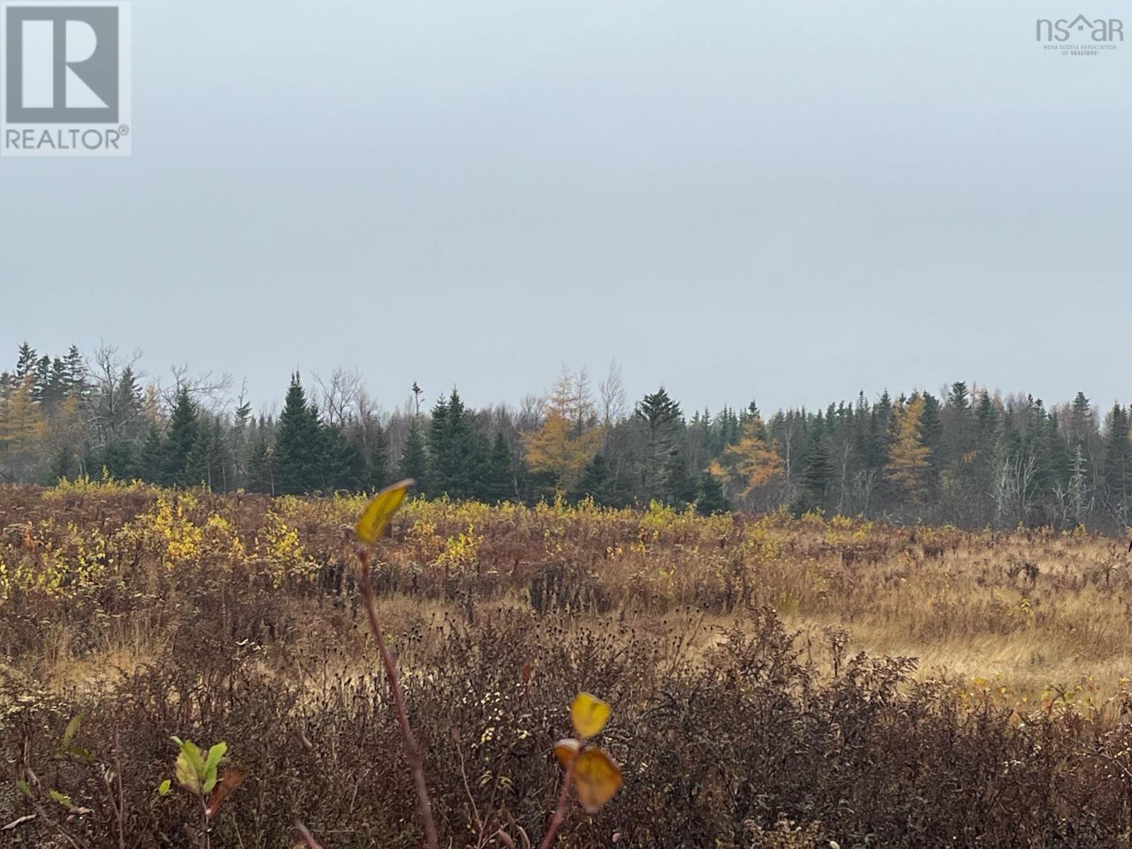 Old Pictou Road, Kemptown, Nova Scotia  B6L 2L8 - Photo 2 - 202426024