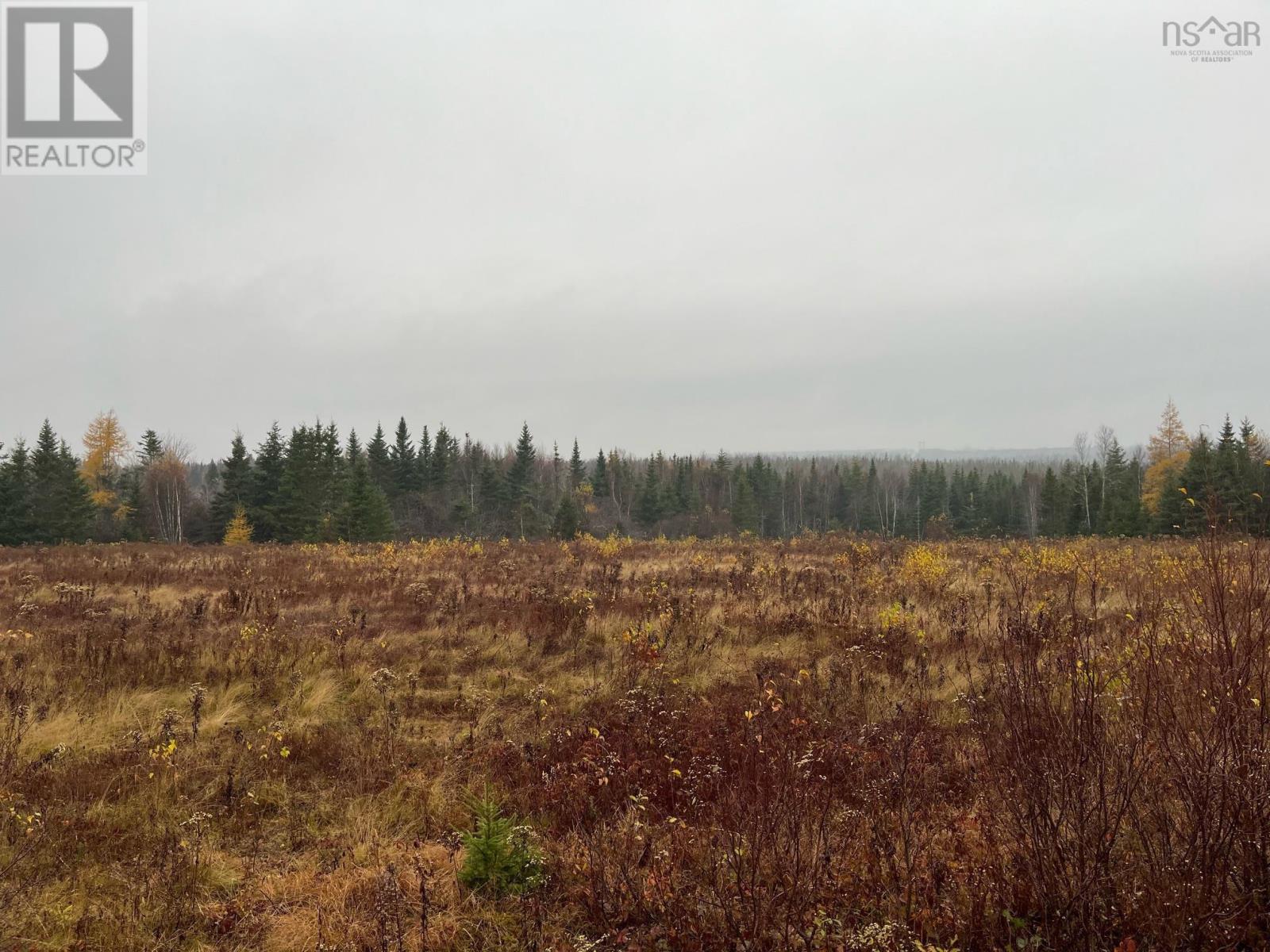 Old Pictou Road, Kemptown, Nova Scotia  B6L 2L8 - Photo 6 - 202426024