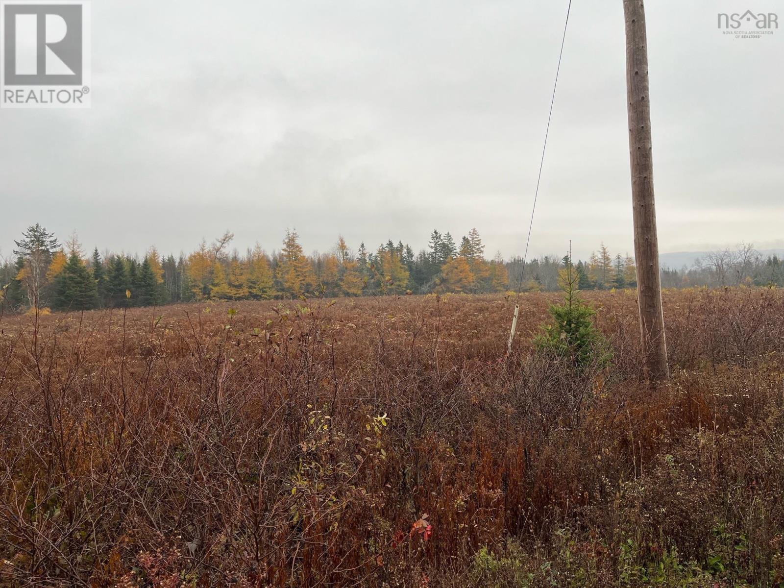 Old Pictou Road, Kemptown, Nova Scotia  B6L 2L8 - Photo 7 - 202426024