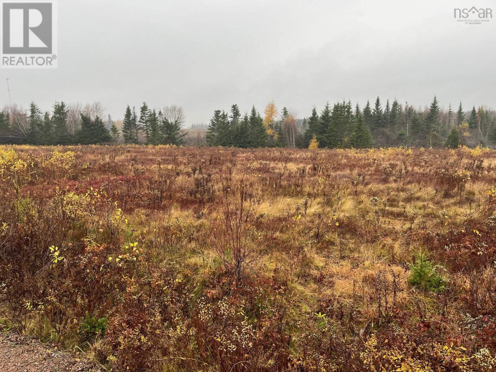 Old Pictou Road, Kemptown, Nova Scotia  B6L 2L8 - Photo 8 - 202426024