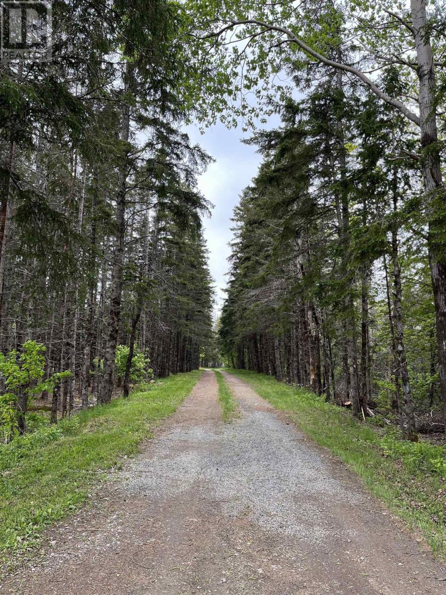 2302 Cabot Trail, Middle River, Nova Scotia  B0E 1B0 - Photo 13 - 202425978