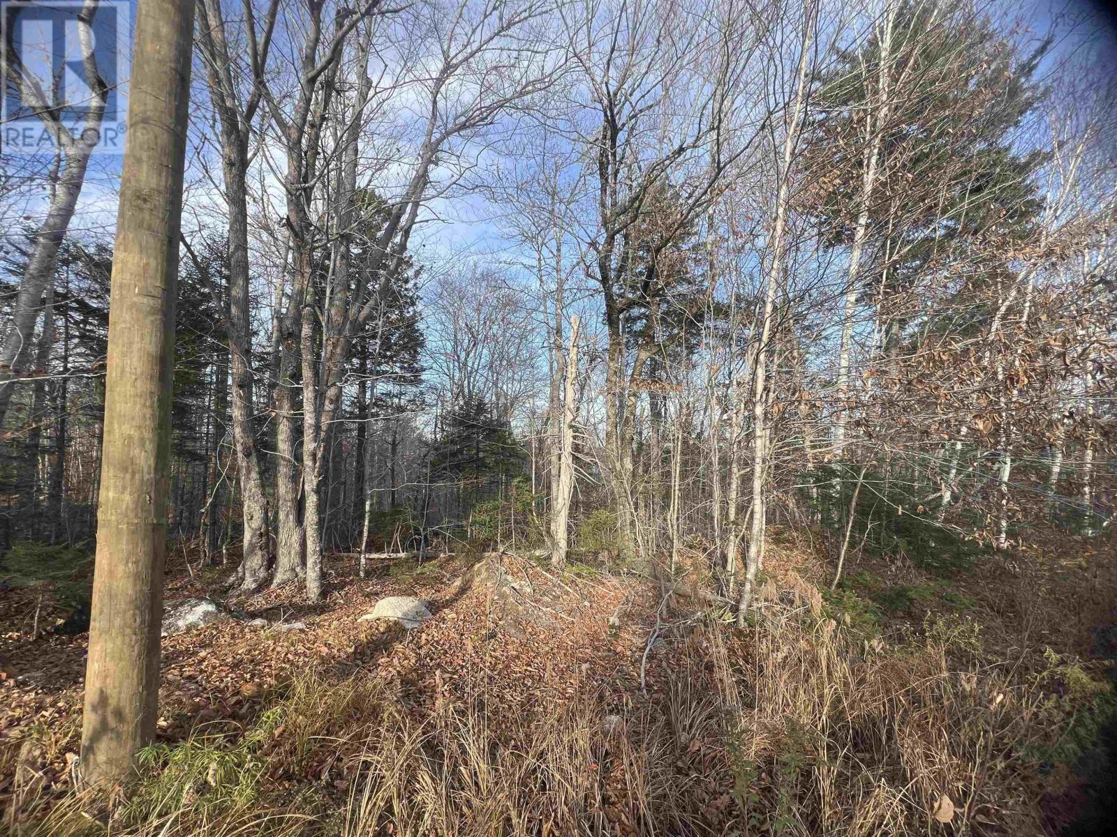 Lot 13 Russells Cove Road, Parkdale, Nova Scotia  B2W 4G3 - Photo 10 - 202426064