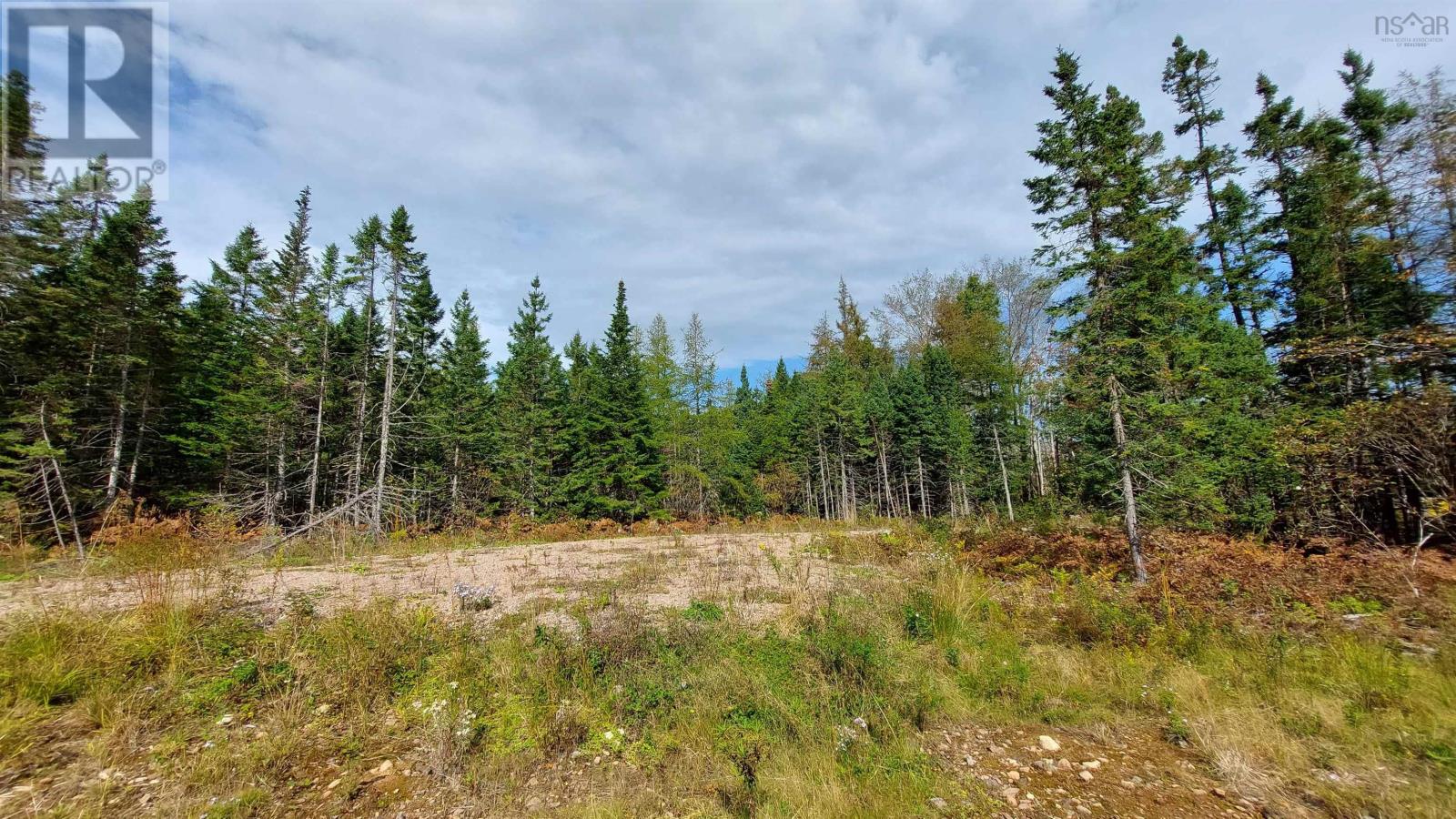 Lot 7 Lower River Rd, Cleveland, Nova Scotia  B0E 1J0 - Photo 12 - 202426076