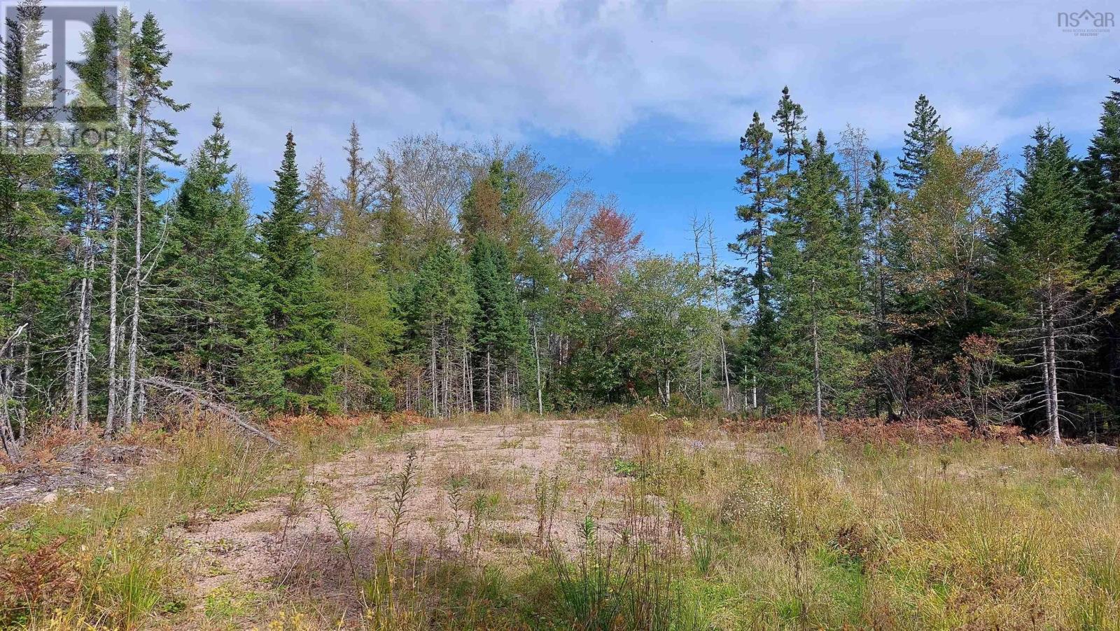 Lot 7 Lower River Rd, Cleveland, Nova Scotia  B0E 1J0 - Photo 13 - 202426076