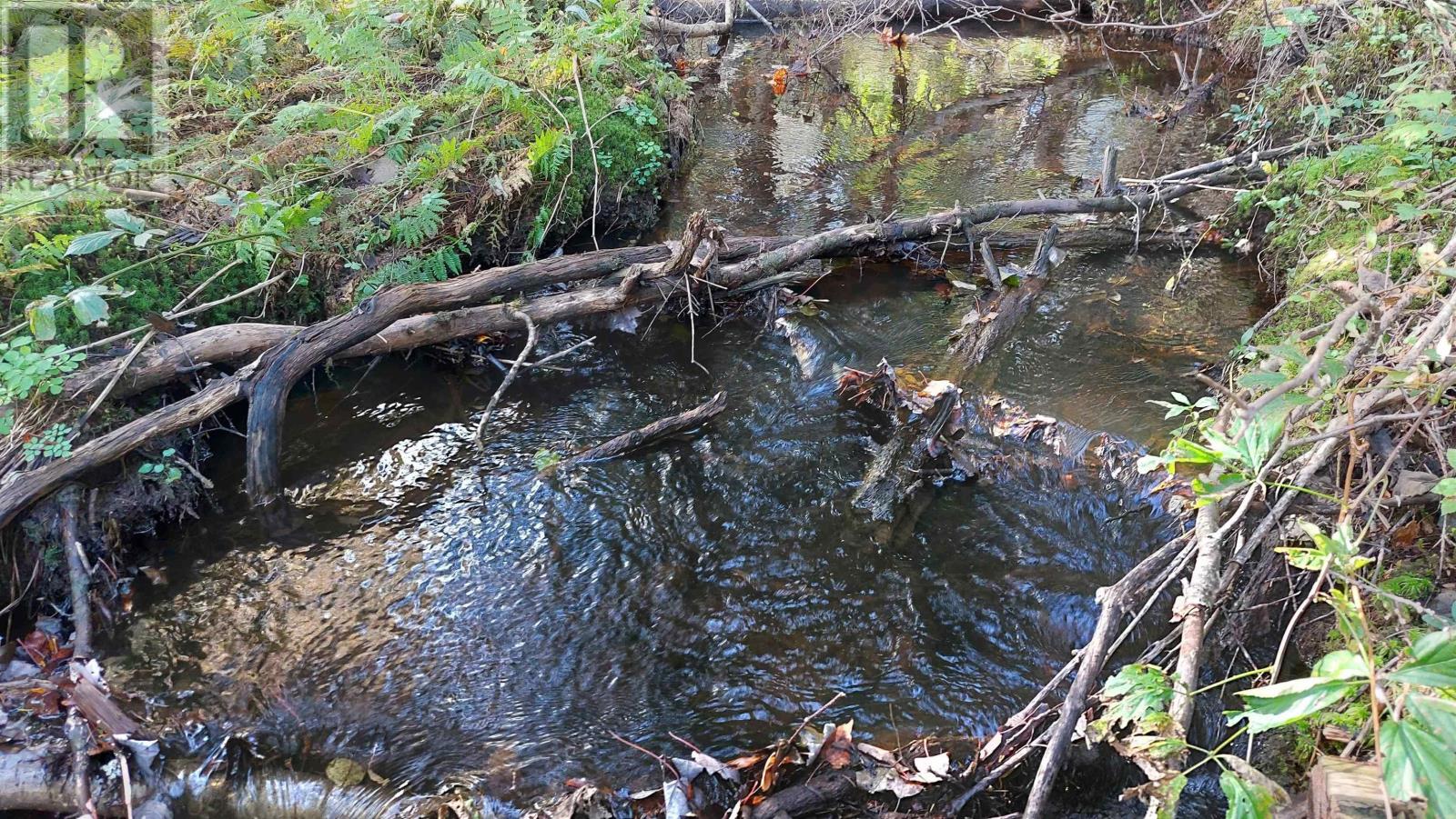 Lot 7 Lower River Rd, Cleveland, Nova Scotia  B0E 1J0 - Photo 14 - 202426076